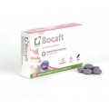 BOCAFT EFECTO FLASH 15 COMPRIMIDOS MASTICABLES