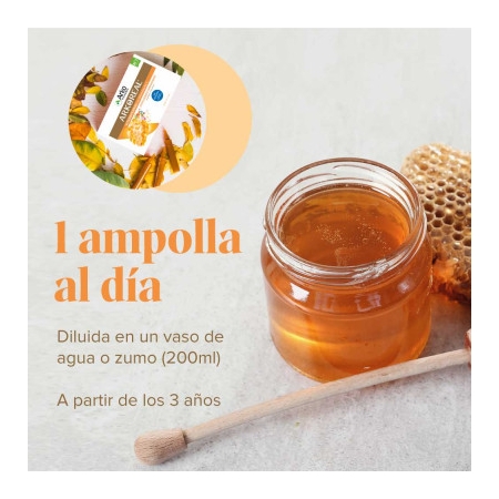 ARKOREAL JALEA REAL VITAMINADA 20 AMPOLAS