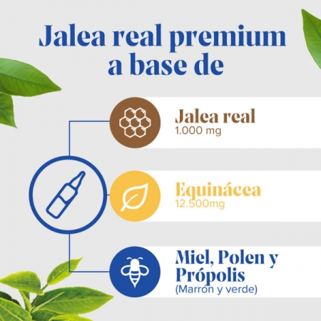 ARKOREAL JALEA REAL INMUNIDAD EQUINÁCEA 20 AMPOLLAS