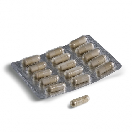 NETISUM VPT 60 CAPSULAS