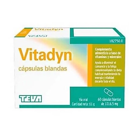 VITADYN 60 CAPSULAS BLANDAS