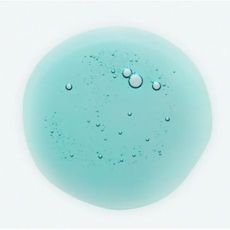 KLORANE CHAMPU A LA MENTA BIO 400 ML