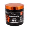 INFISPORT CREATINA 300 G POLVO
