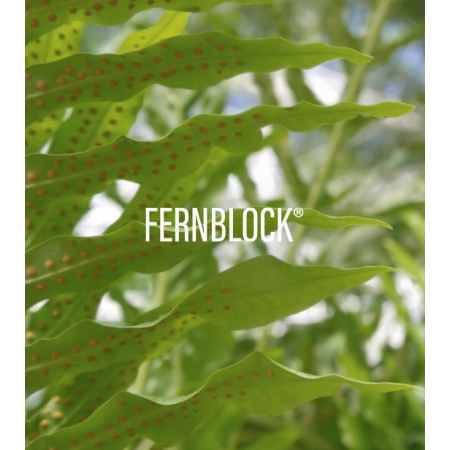 HELIOCARE 360º OIL-FREE COMPACT SPF50+ 10 G COLOR BRONZE